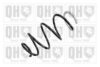 PEUGE 5002TN Coil Spring